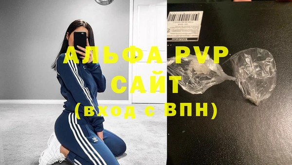 прущий лед Новозыбков