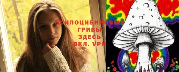 прущий лед Новозыбков