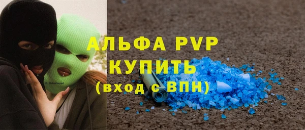 прущий лед Новозыбков