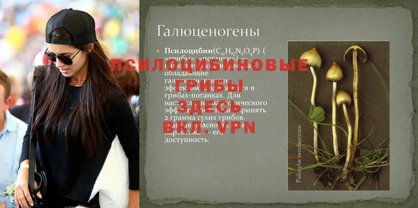 прущий лед Новозыбков