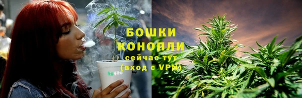 прущий лед Новозыбков