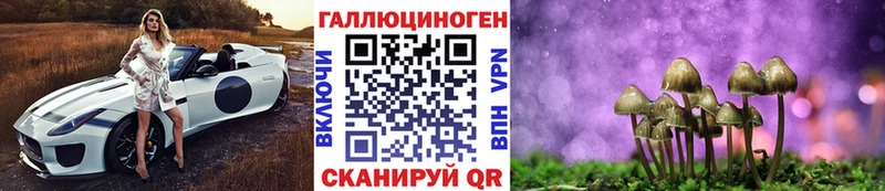 закладка  Углегорск  Галлюциногенные грибы Magic Shrooms 